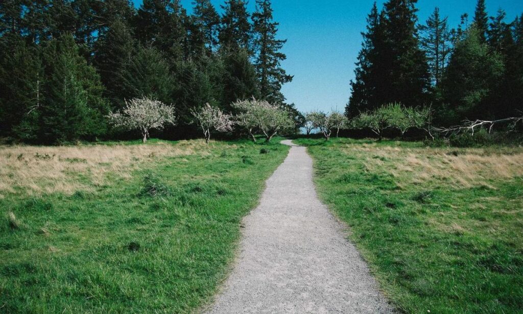 Exponential Escalation