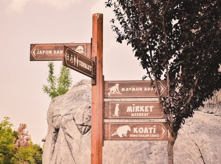 personajes canciones del zoo png