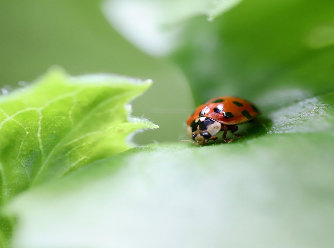 Tgageeks Gaming News