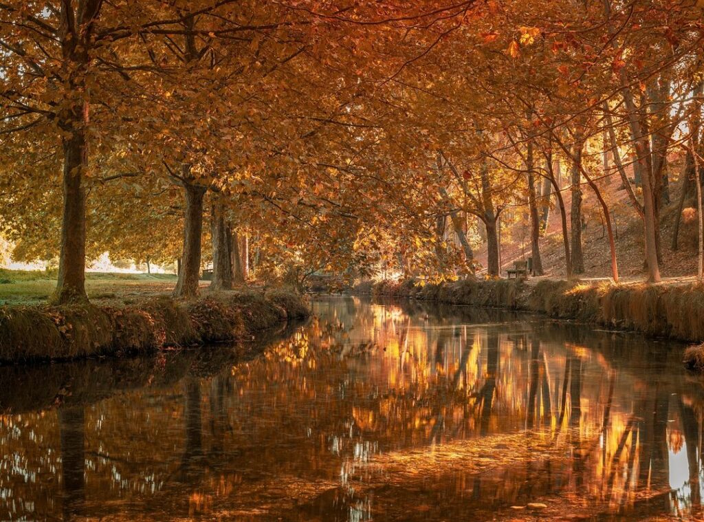 video de la pastora sin censura hoy