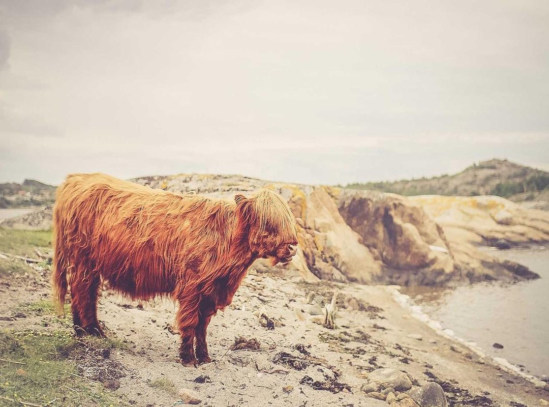 Safer Streaming: Top Legal Alternatives for Movie Lovers