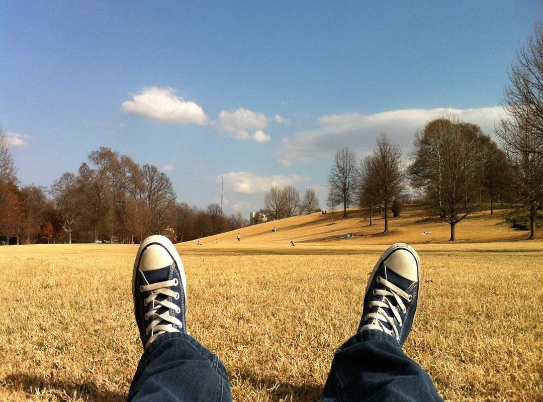 Defined Curls and Twists: Embracing Natural Texture