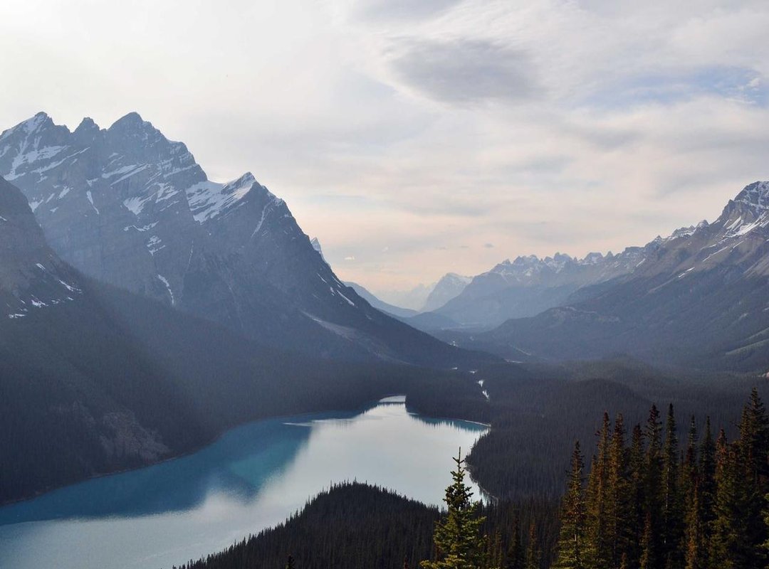 Famous Twins in Hollywood: Examples and Comparisons