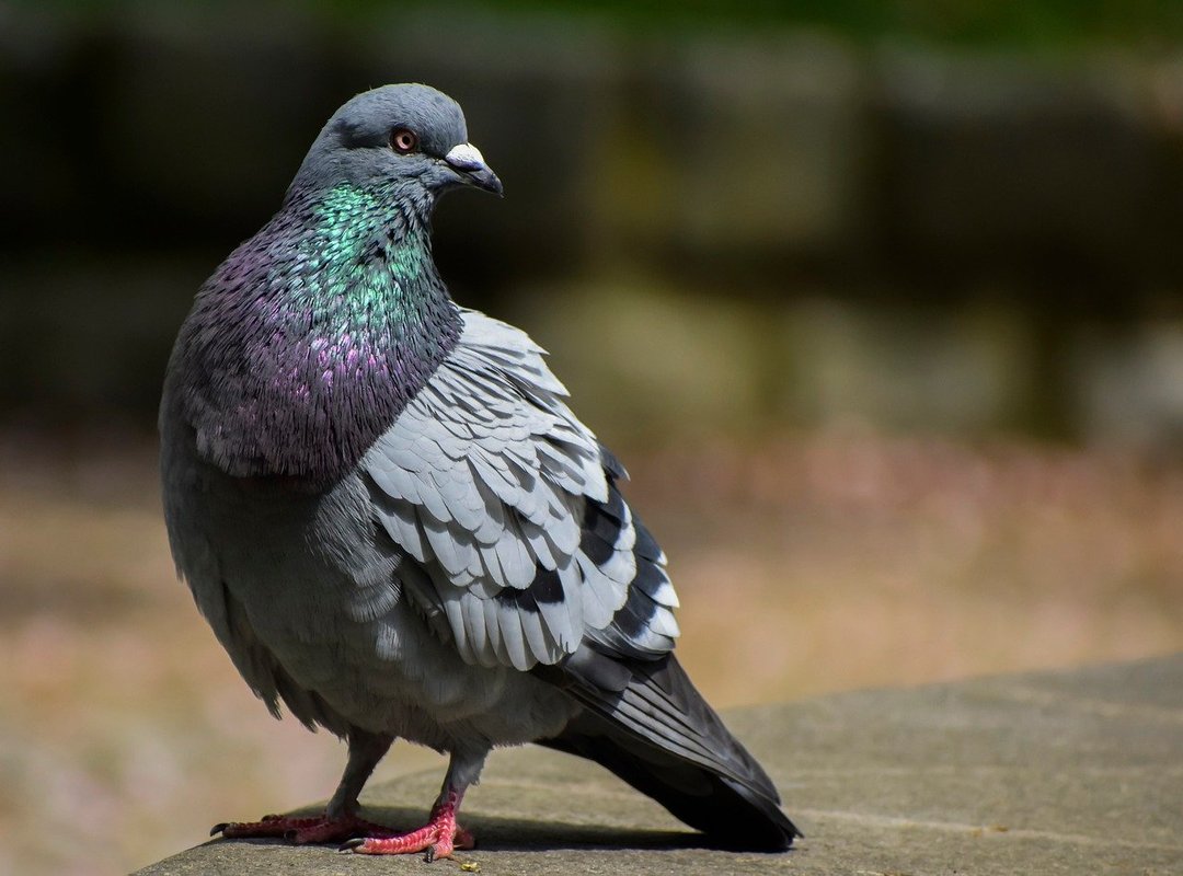 What Sets Haktuts 2018 Apart from Other Free Spin Sources