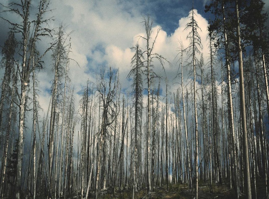 Strategic Use: Don't Waste Your Most Valuable Consumable