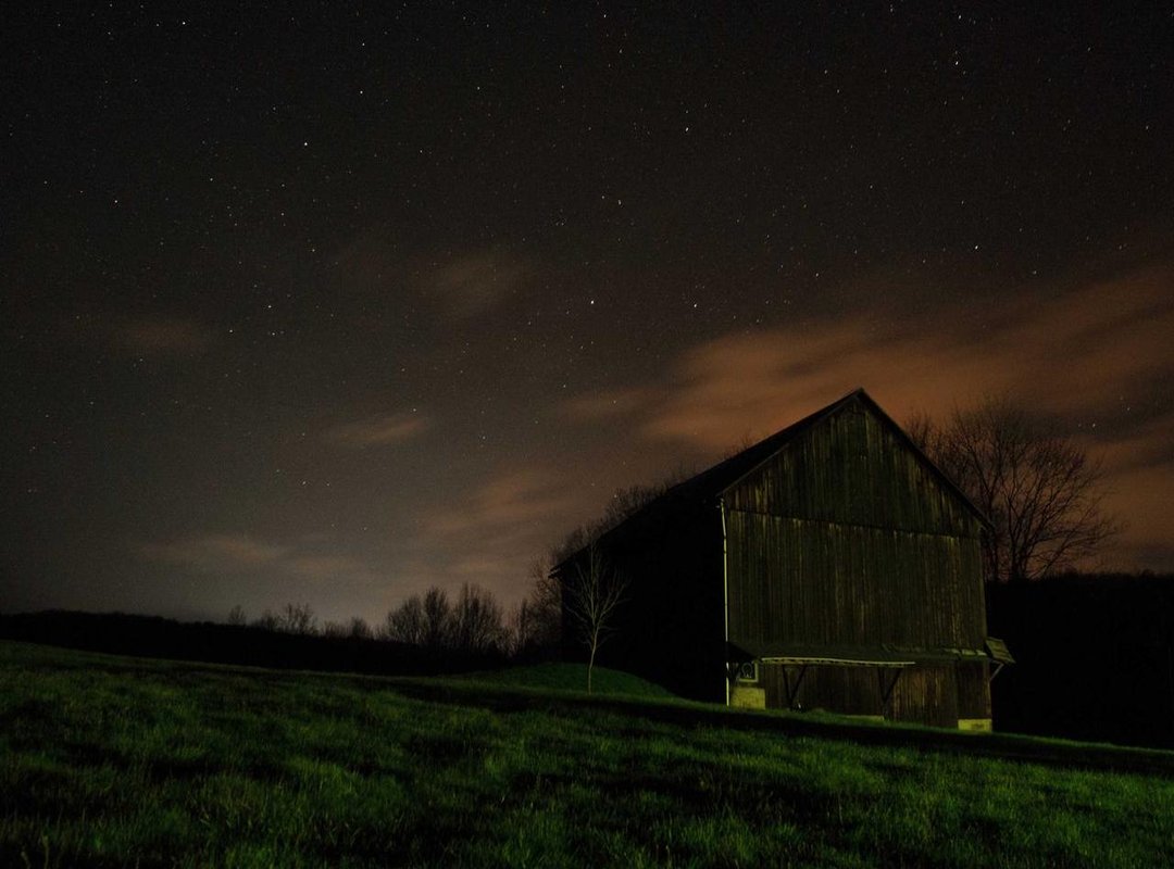 Career Highlights: From Modeling to Reality TV