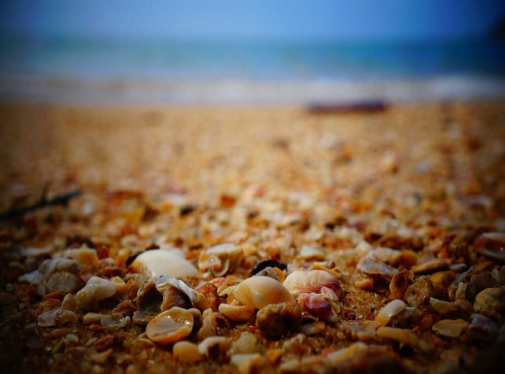 kleurplaat gabby poppenhuis