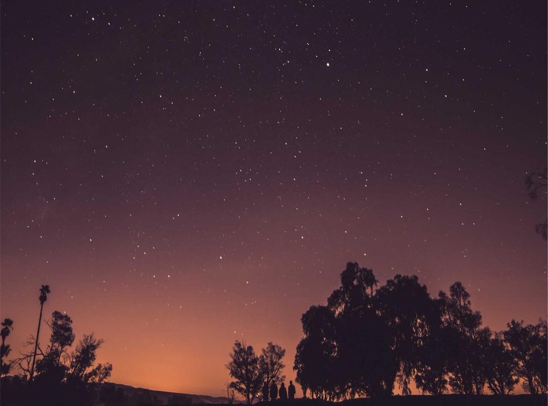 Top Picks: Get the Look with These Must-Have Swimwear Styles