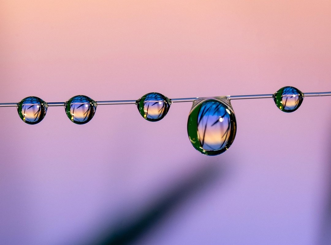 FAQs About Marcos Herber's Current Photos