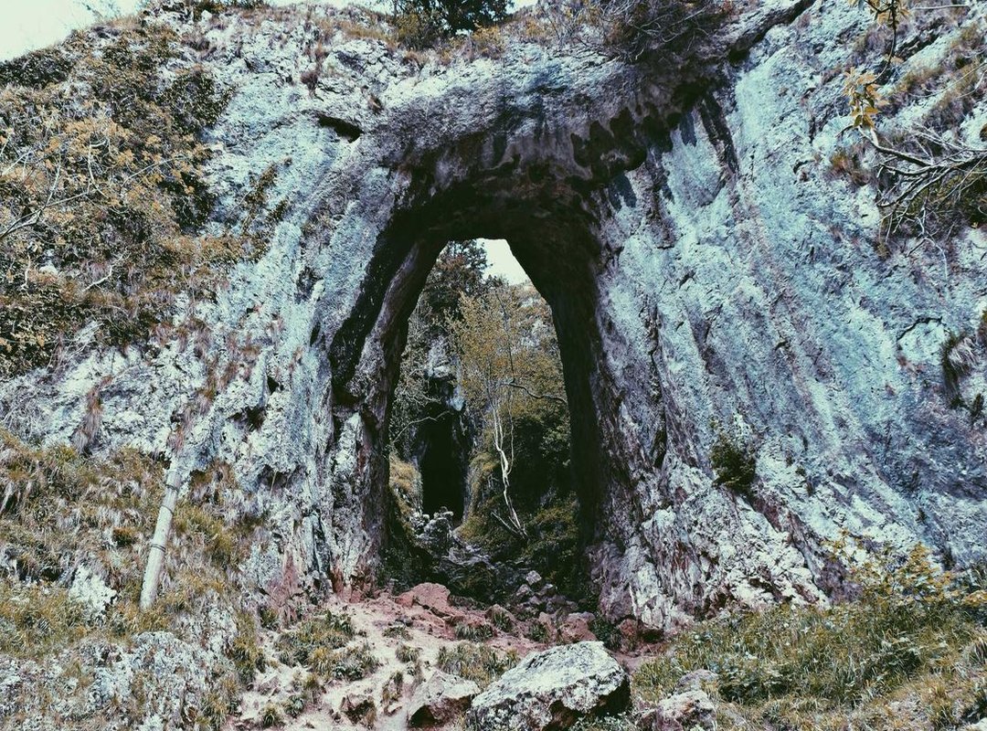 Where to Find & How to Create Your Own Matching PFPs