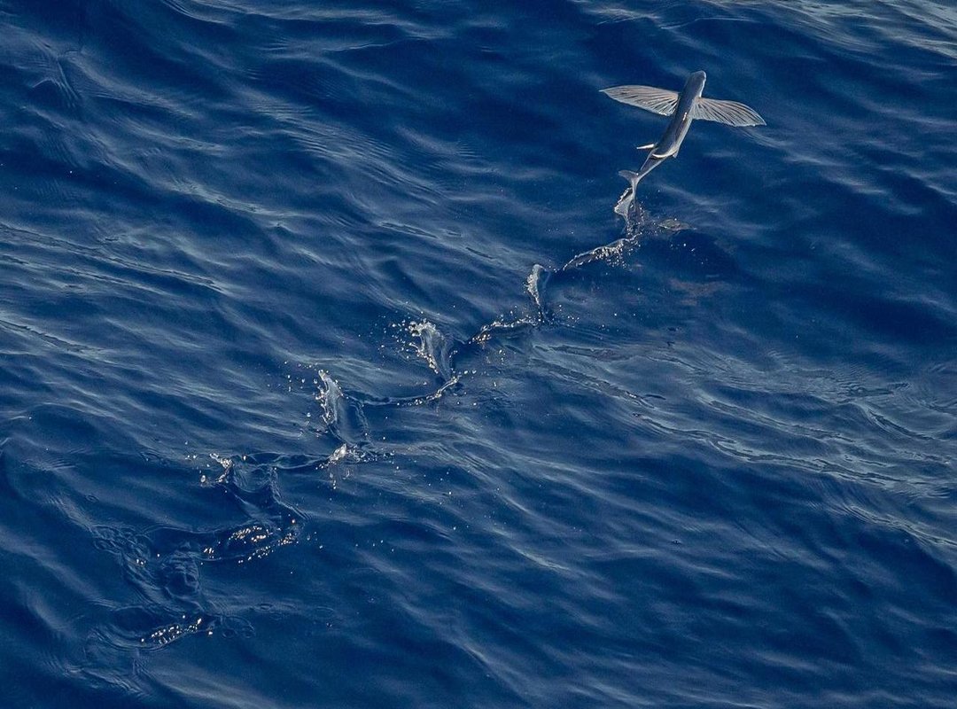 Style Secrets: How to Flatter and Highlight Your Curves