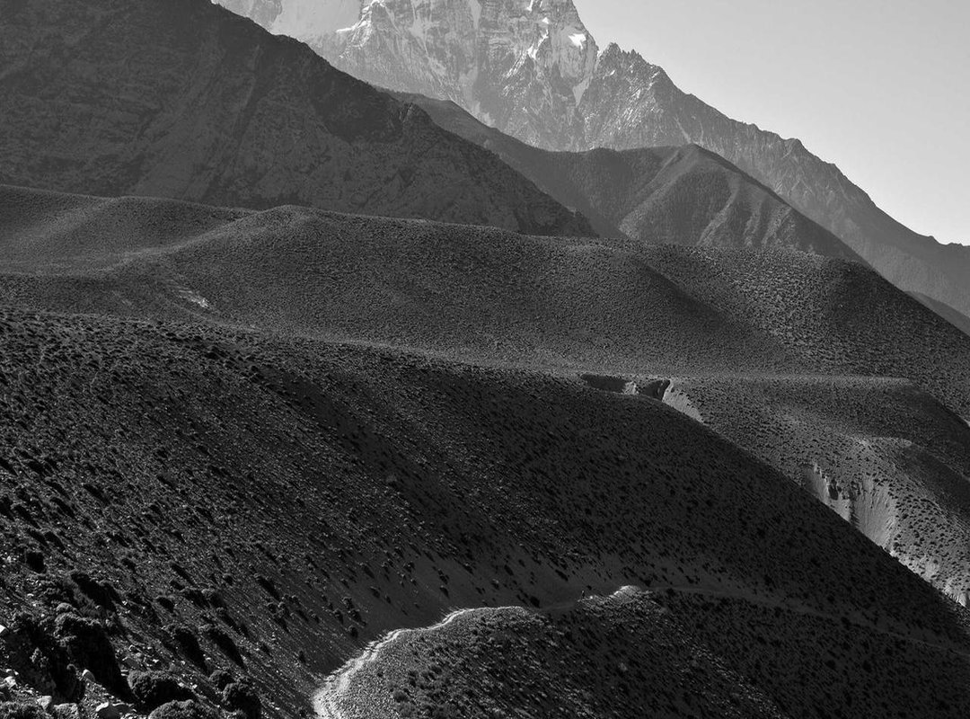 Exploring the Core Themes: Faith Over Fear