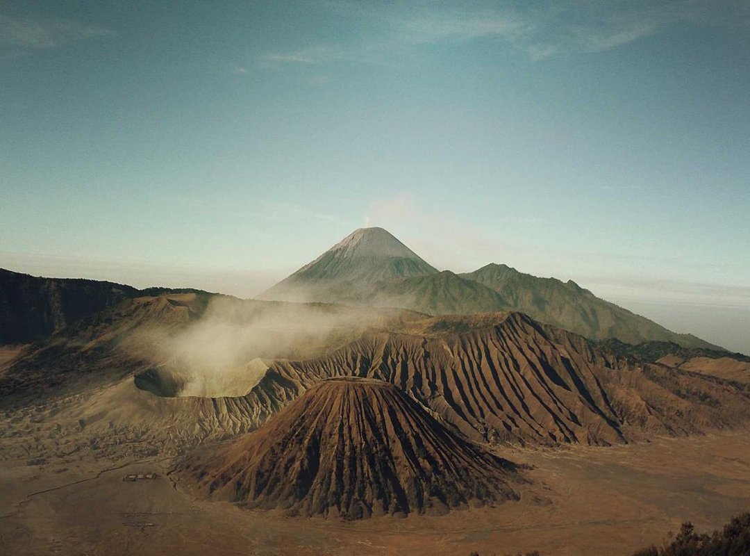 Consumer Activism and International Brands: The 'Why' Behind the Question