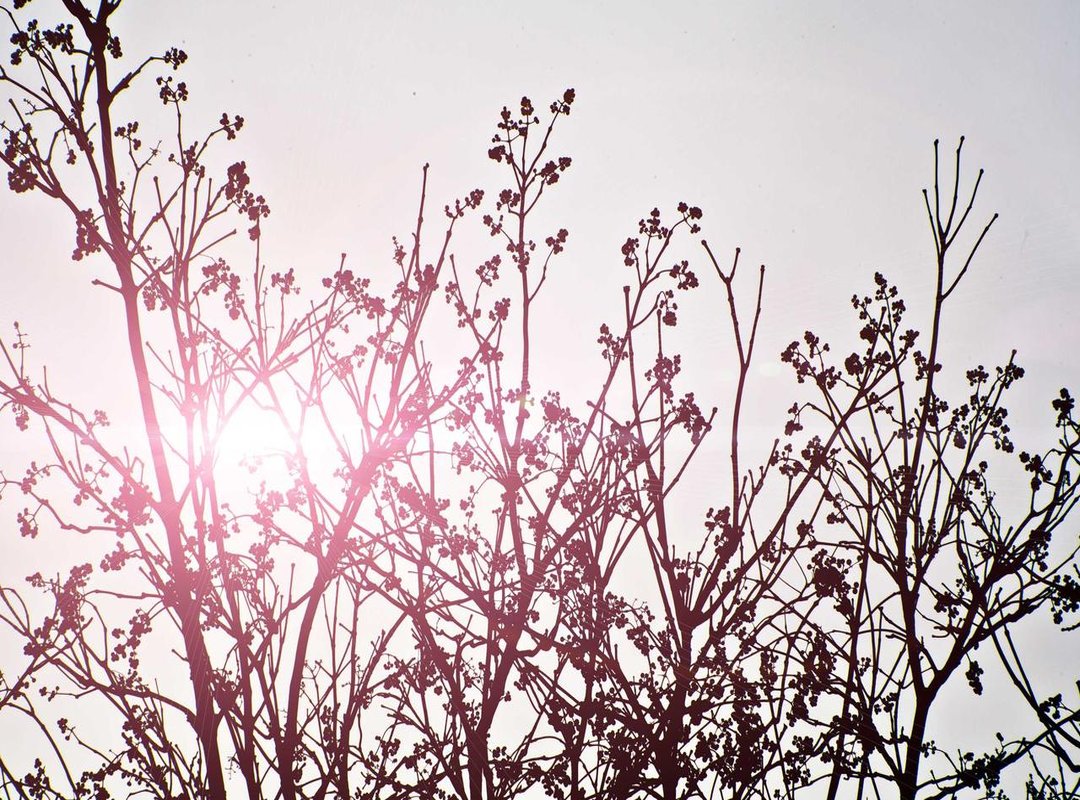 Troubleshooting: What to Do If You Can't Find The Channel