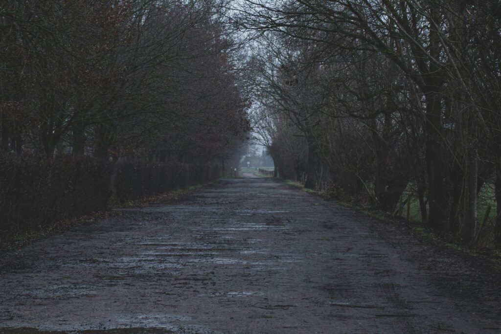 jens maes zGJy knqlAQ unsplash